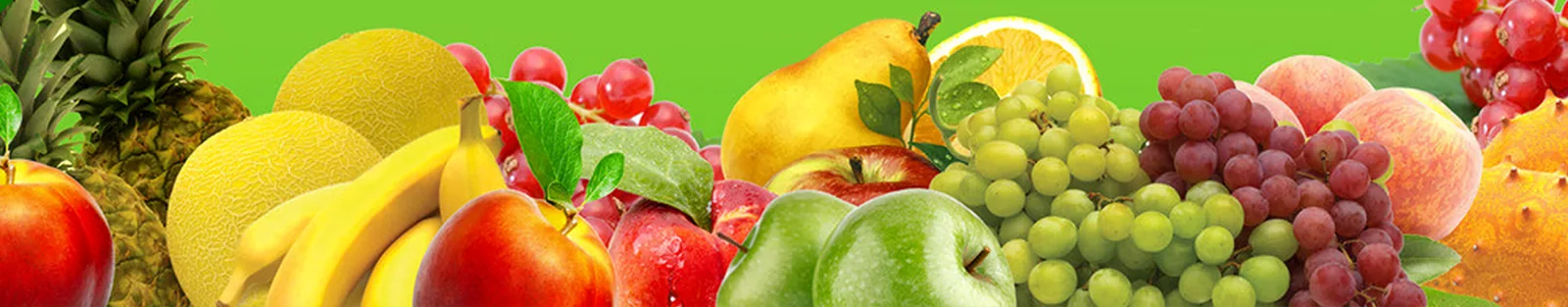 Fruit